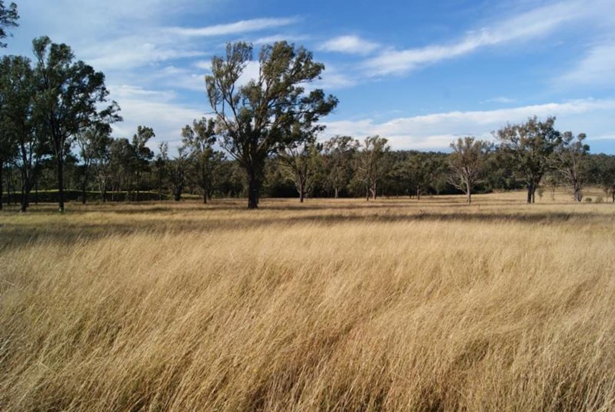 BELFORD NSW 2335, Belford - Thumbnail 3