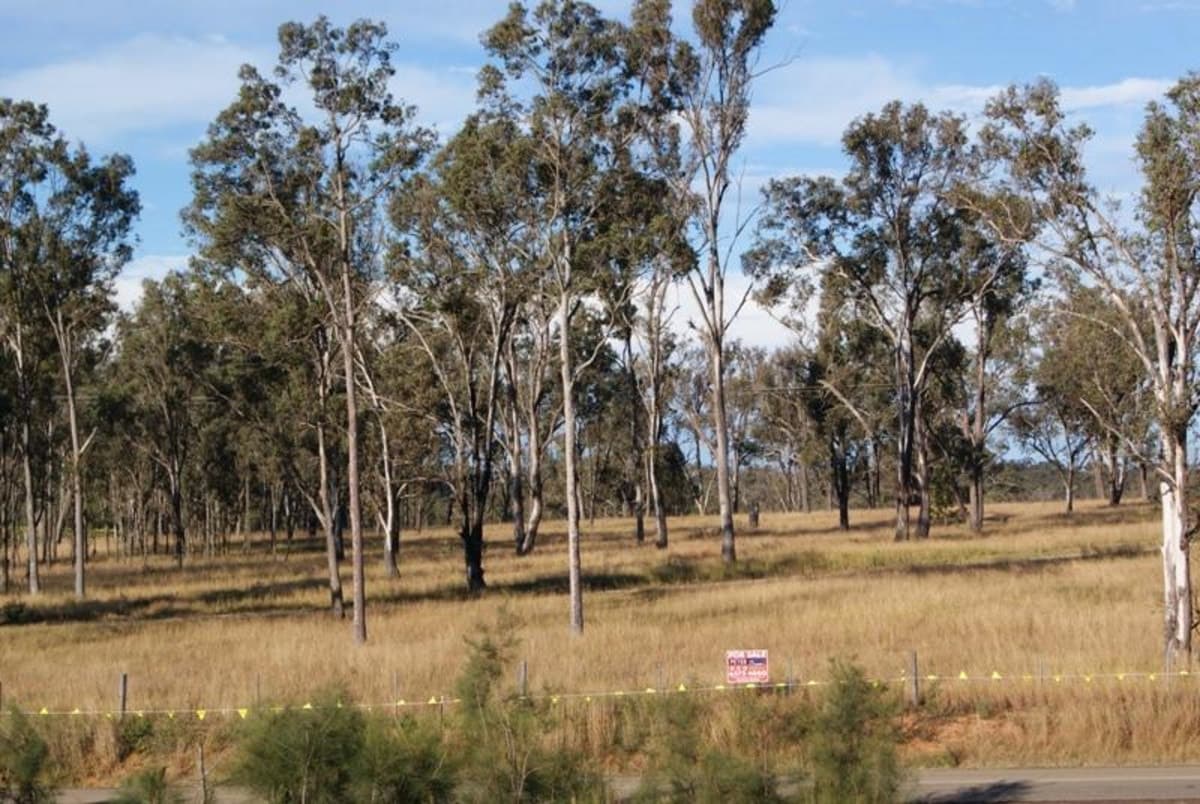 BELFORD NSW 2335, Belford - Thumbnail 4