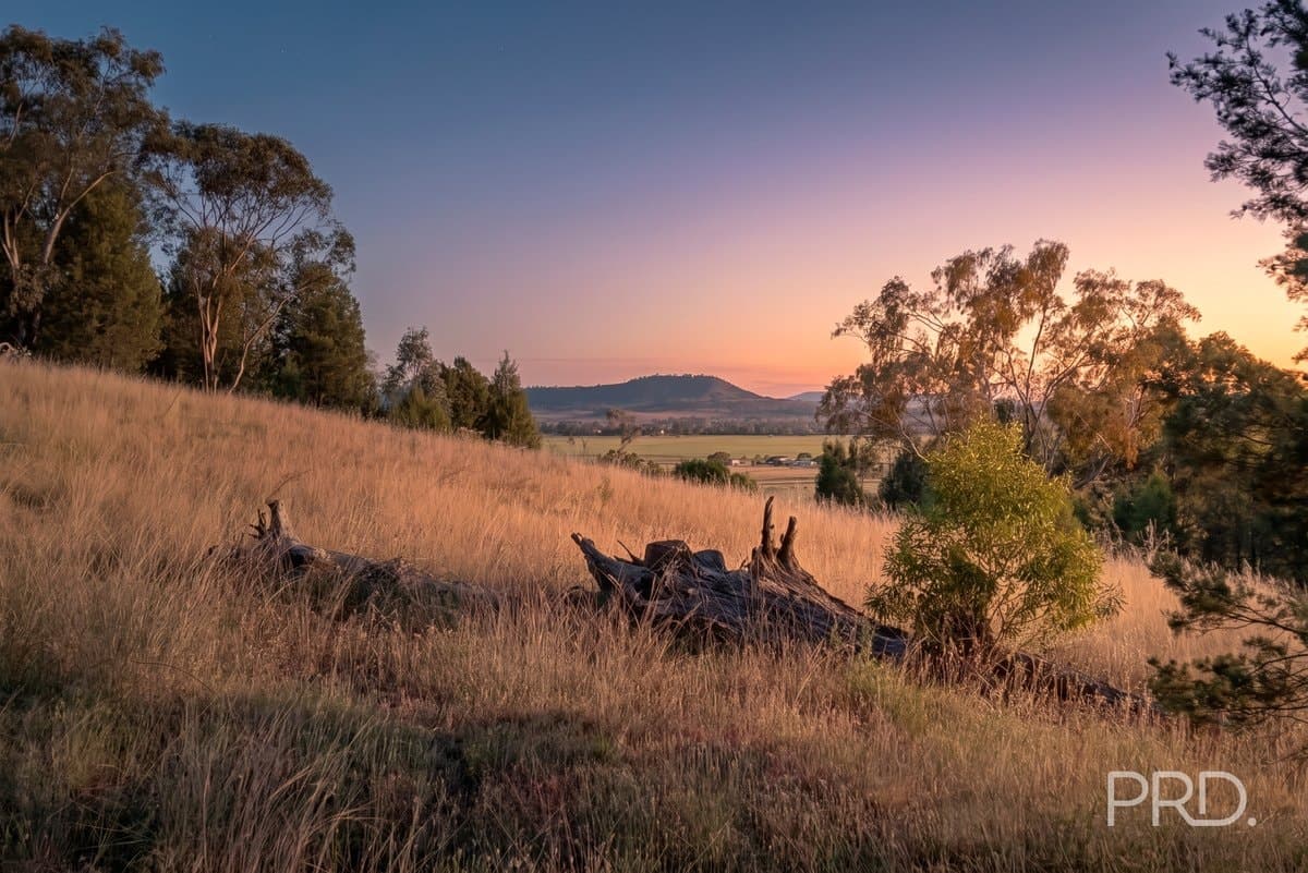 16 Bolah Ridge Road, QUIRINDI NSW 2343, Quirindi - Thumbnail 3