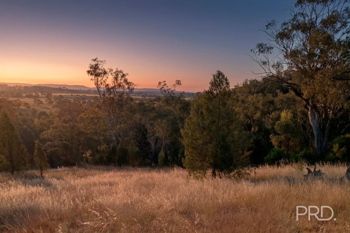 16 Bolah Ridge Road, QUIRINDI NSW 2343, Quirindi - Thumbnail 4