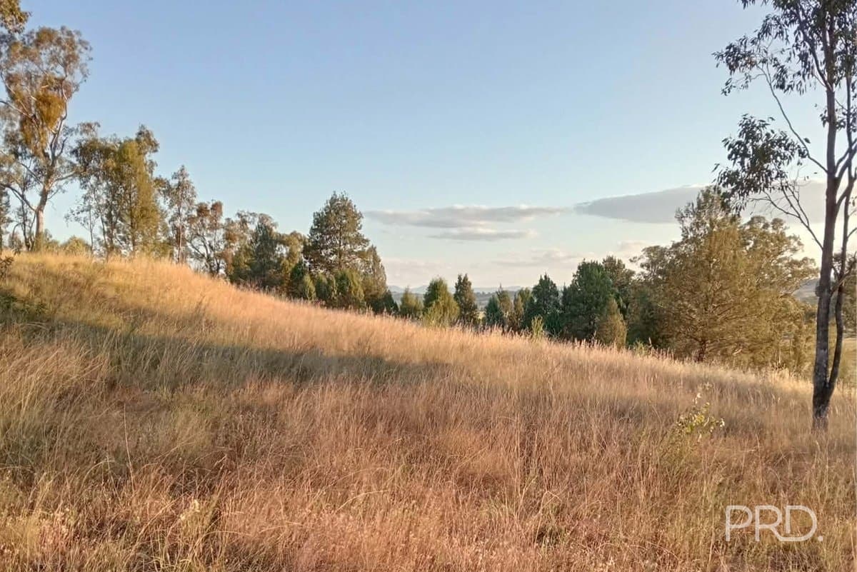 16 Bolah Ridge Road, QUIRINDI NSW 2343, Quirindi - Thumbnail 5