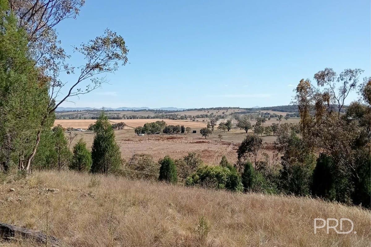 16 Bolah Ridge Road, QUIRINDI NSW 2343, Quirindi - Thumbnail 6