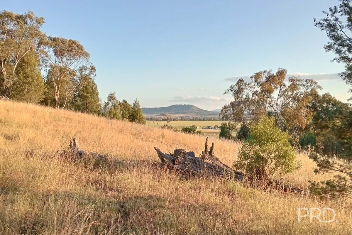 16 Bolah Ridge Road, QUIRINDI NSW 2343, Quirindi - Thumbnail 7
