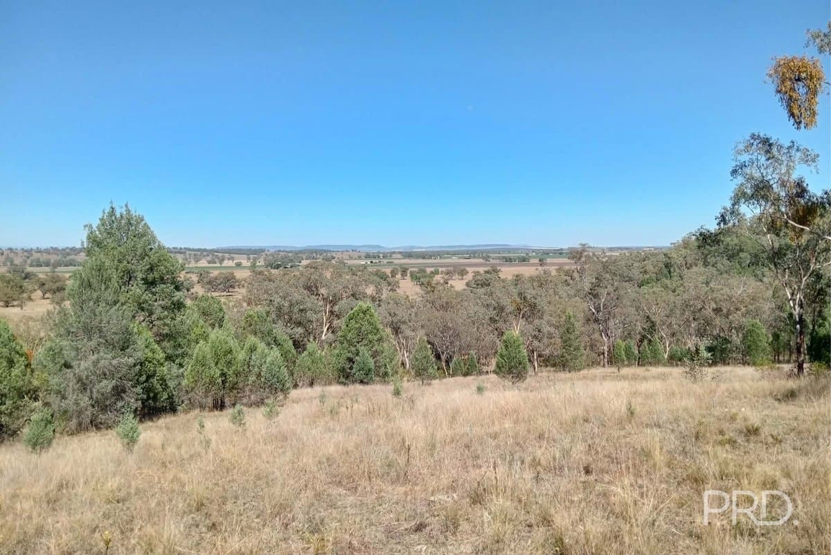 16 Bolah Ridge Road, QUIRINDI NSW 2343, Quirindi - Thumbnail 8