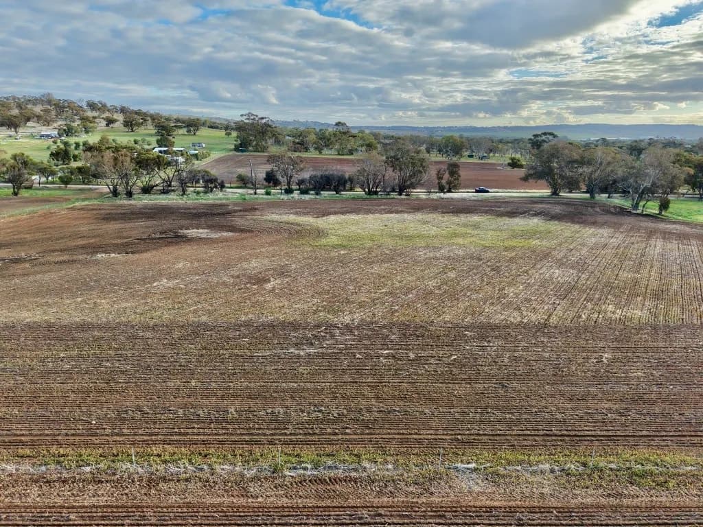 Lot 66 Osborn Road, York, WA, 6302, York - Thumbnail 2