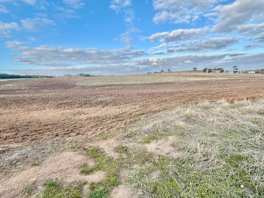 Lot 66 Osborn Road, York, WA, 6302, York - Thumbnail 8