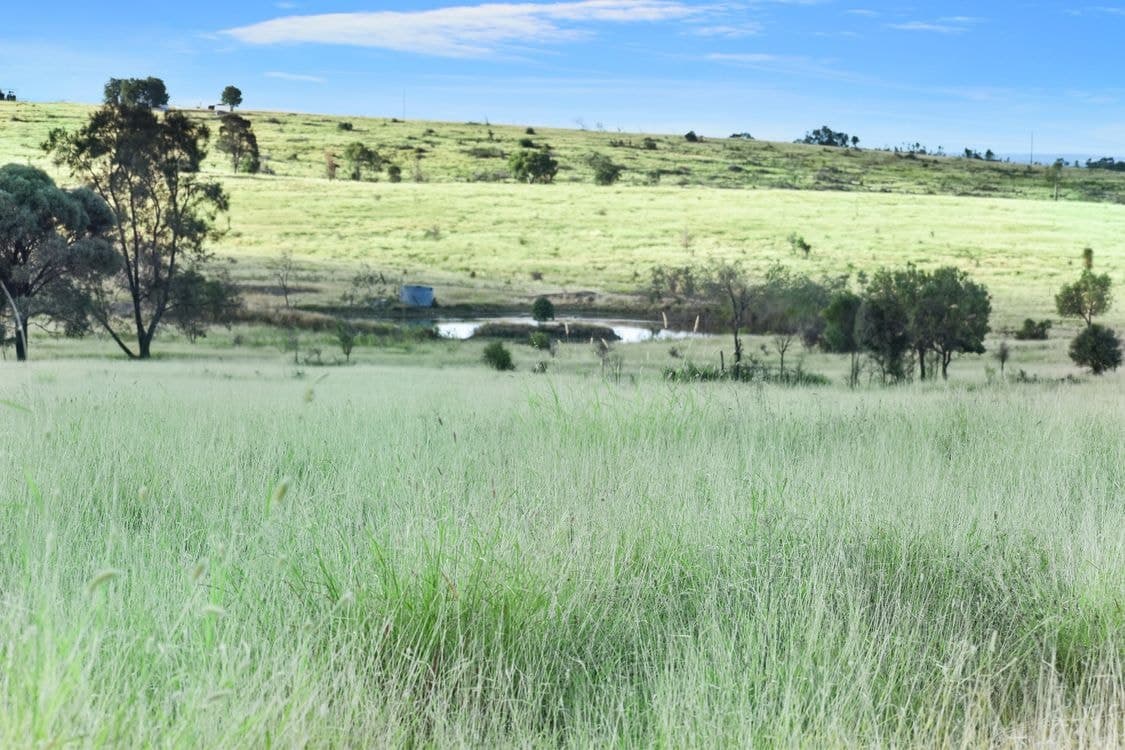 " Kooringa ", ROMA, QLD 4455, Roma - Thumbnail 4