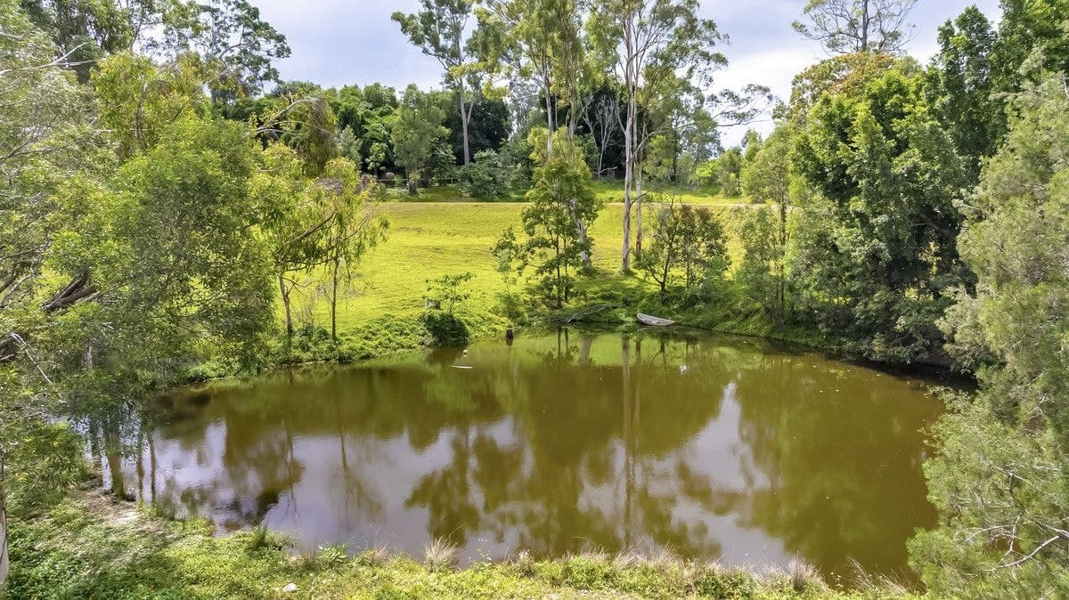 135 Country Crescent, Nerang, QLD 4211, Nerang - Thumbnail 4