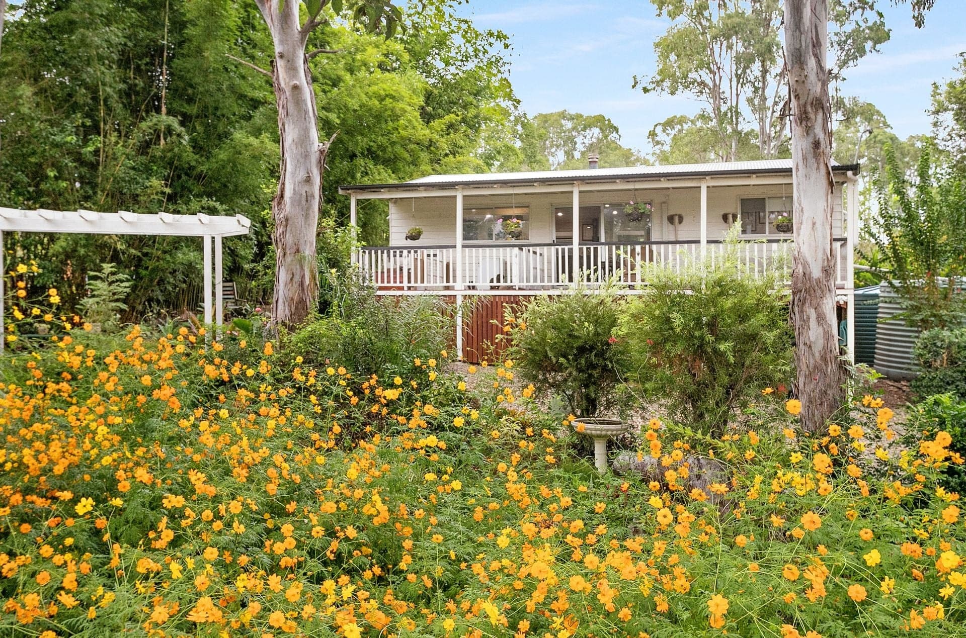 1651 Maleny Kenilworth Road Conondale QLD, Conondale - Thumbnail 2