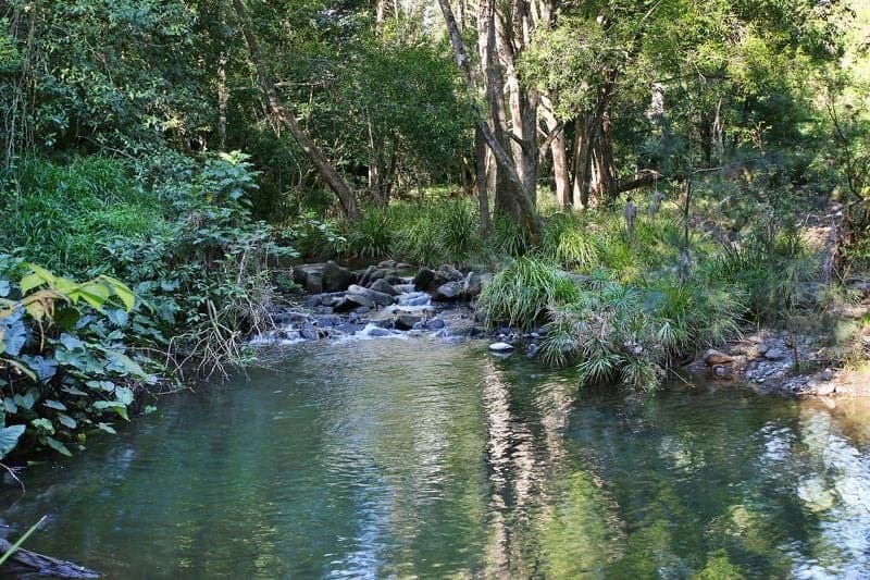 1062 Maleny-Kenilworth Road ELAMAN CREEK QLD, Elaman Creek - Image 1