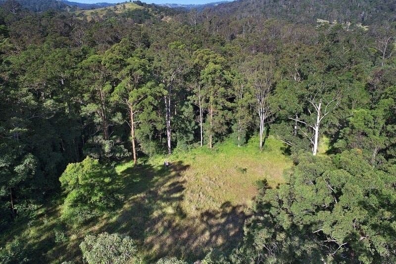 1062 Maleny-Kenilworth Road ELAMAN CREEK QLD, Elaman Creek - Thumbnail 6