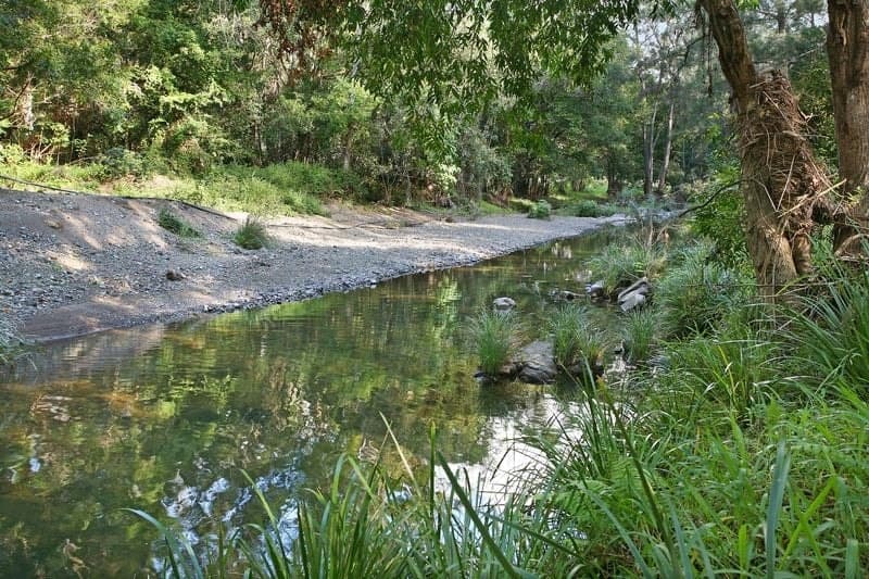 1062 Maleny-Kenilworth Road ELAMAN CREEK QLD, Elaman Creek - Thumbnail 8