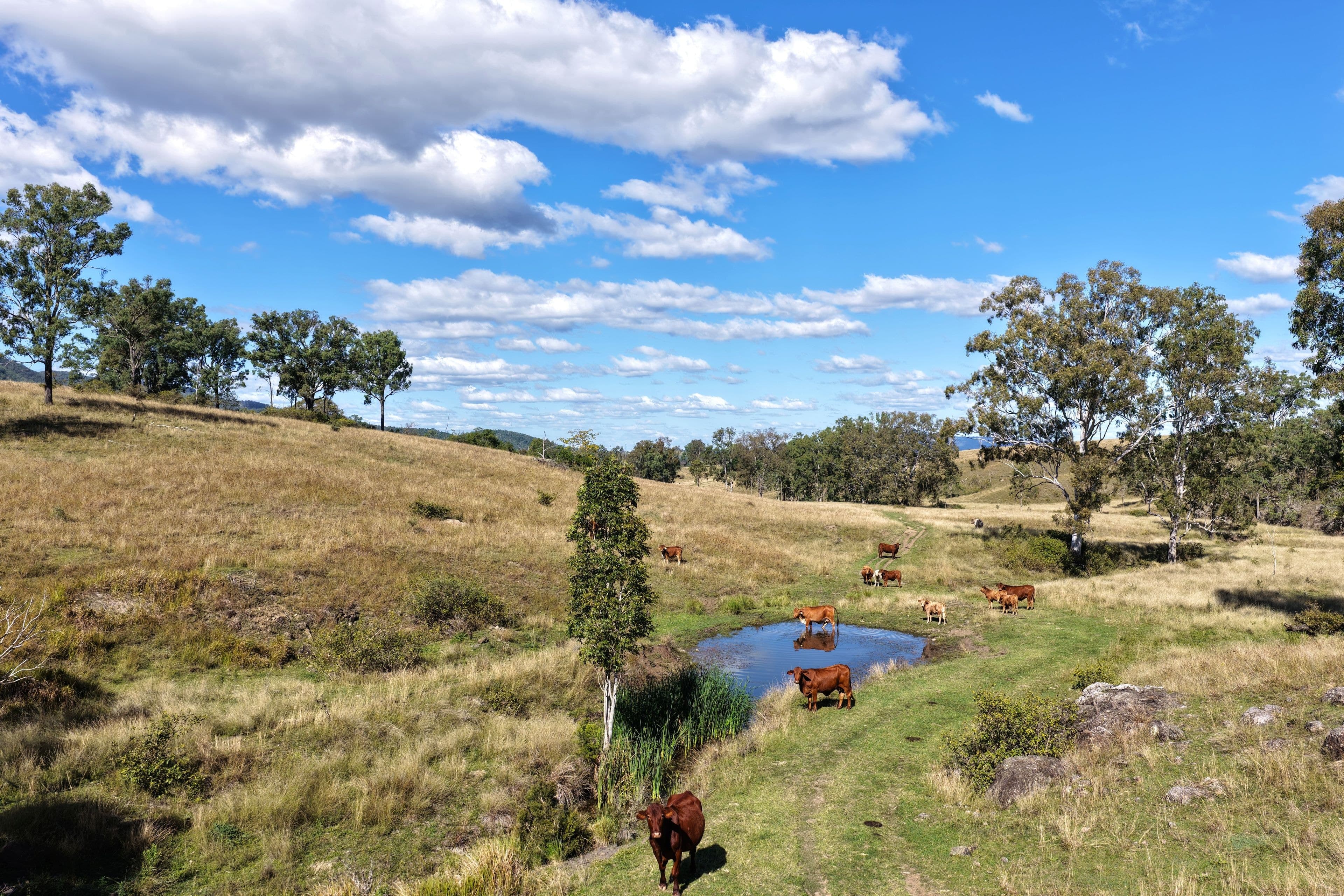 Lower Cressbrook QLD 4313, Lower Cressbrook - Thumbnail 2