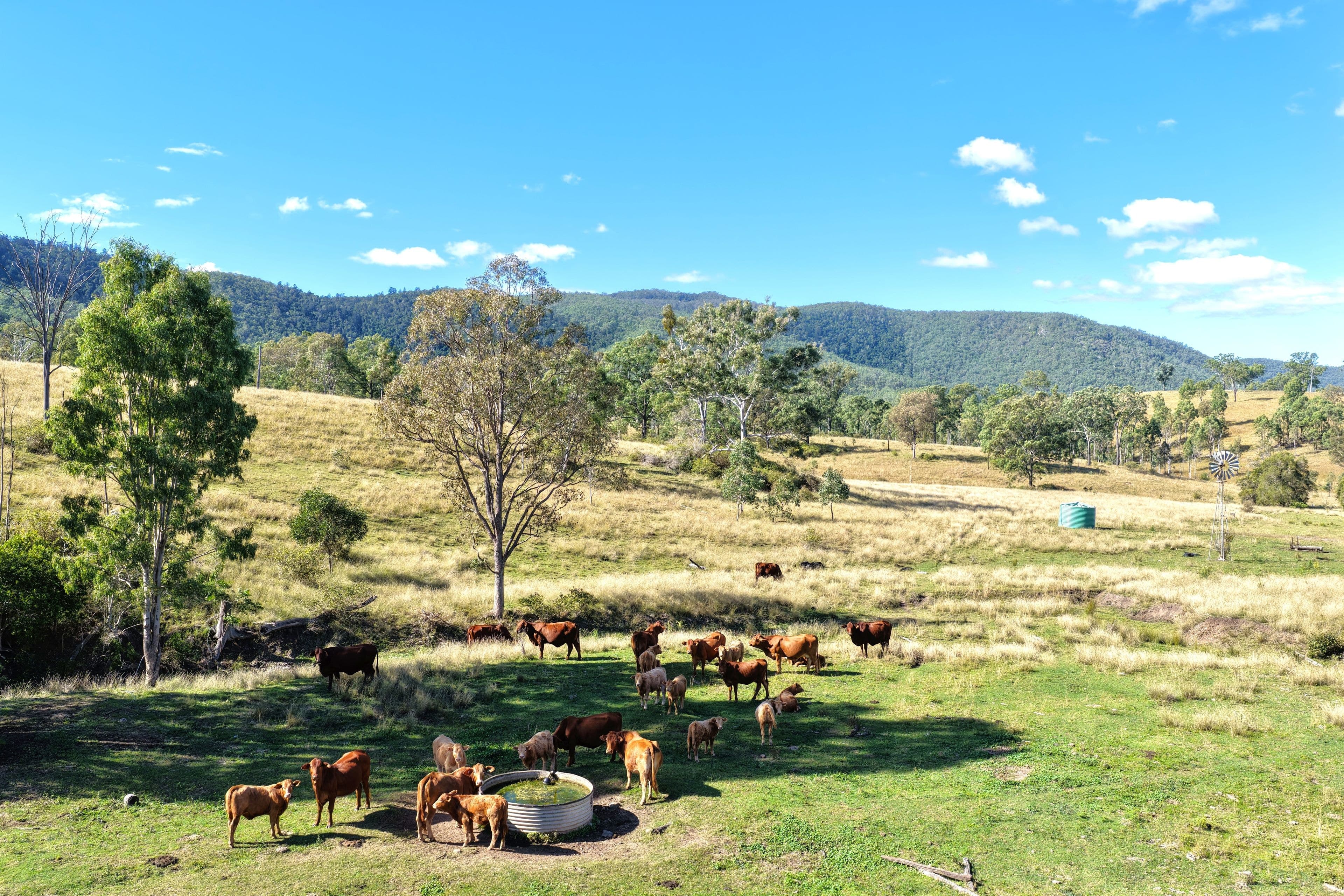 Lower Cressbrook QLD 4313, Lower Cressbrook - Thumbnail 5