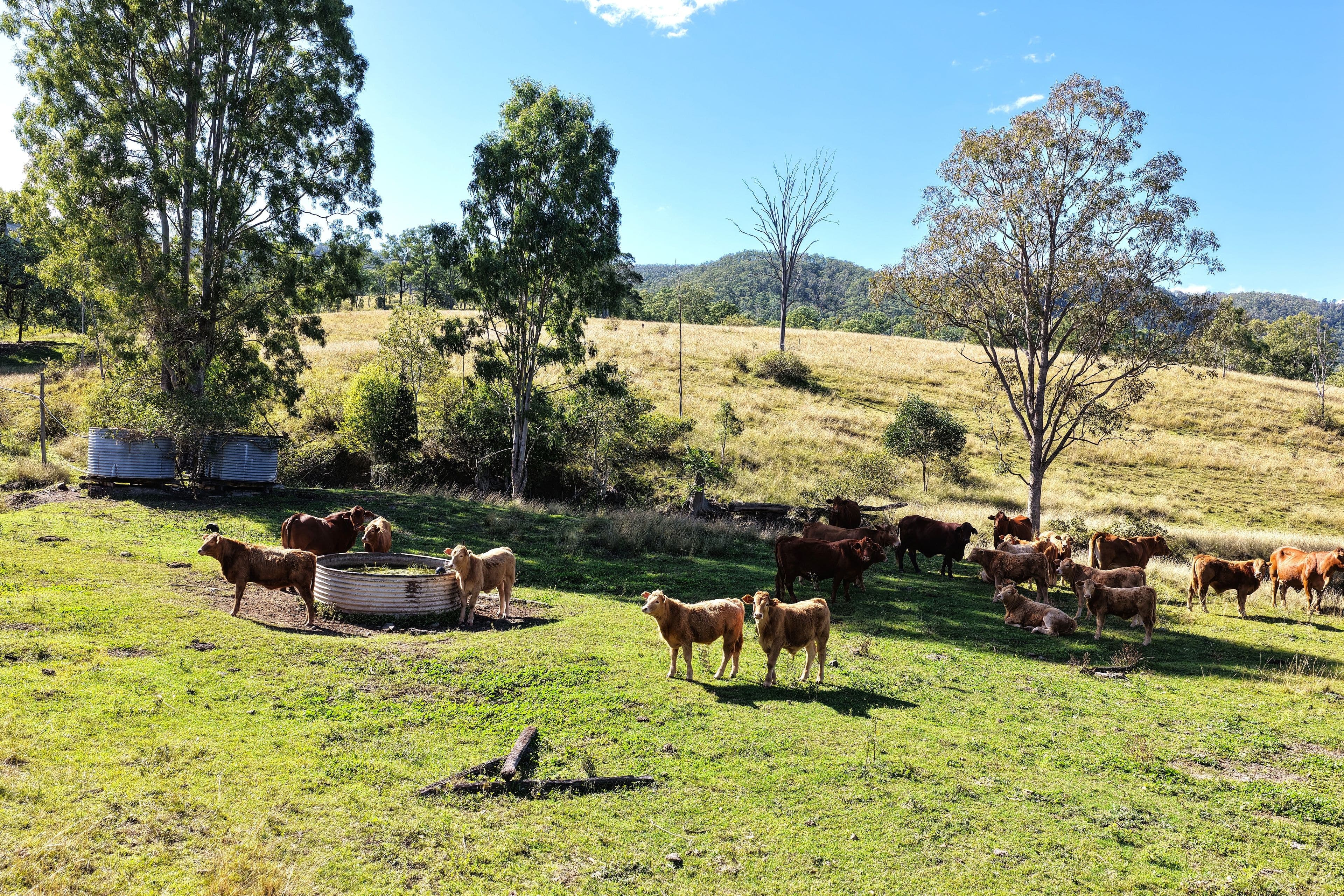 Lower Cressbrook QLD 4313, Lower Cressbrook - Thumbnail 8