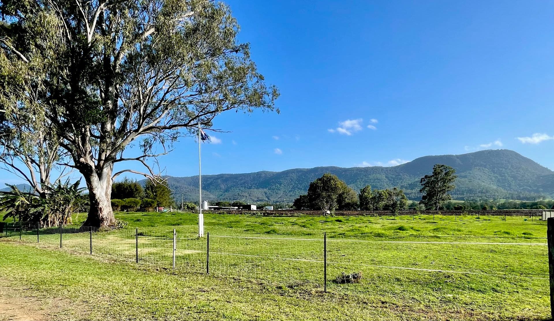 1545 Nowendoc Road, Mount George, Mount George - Image 1