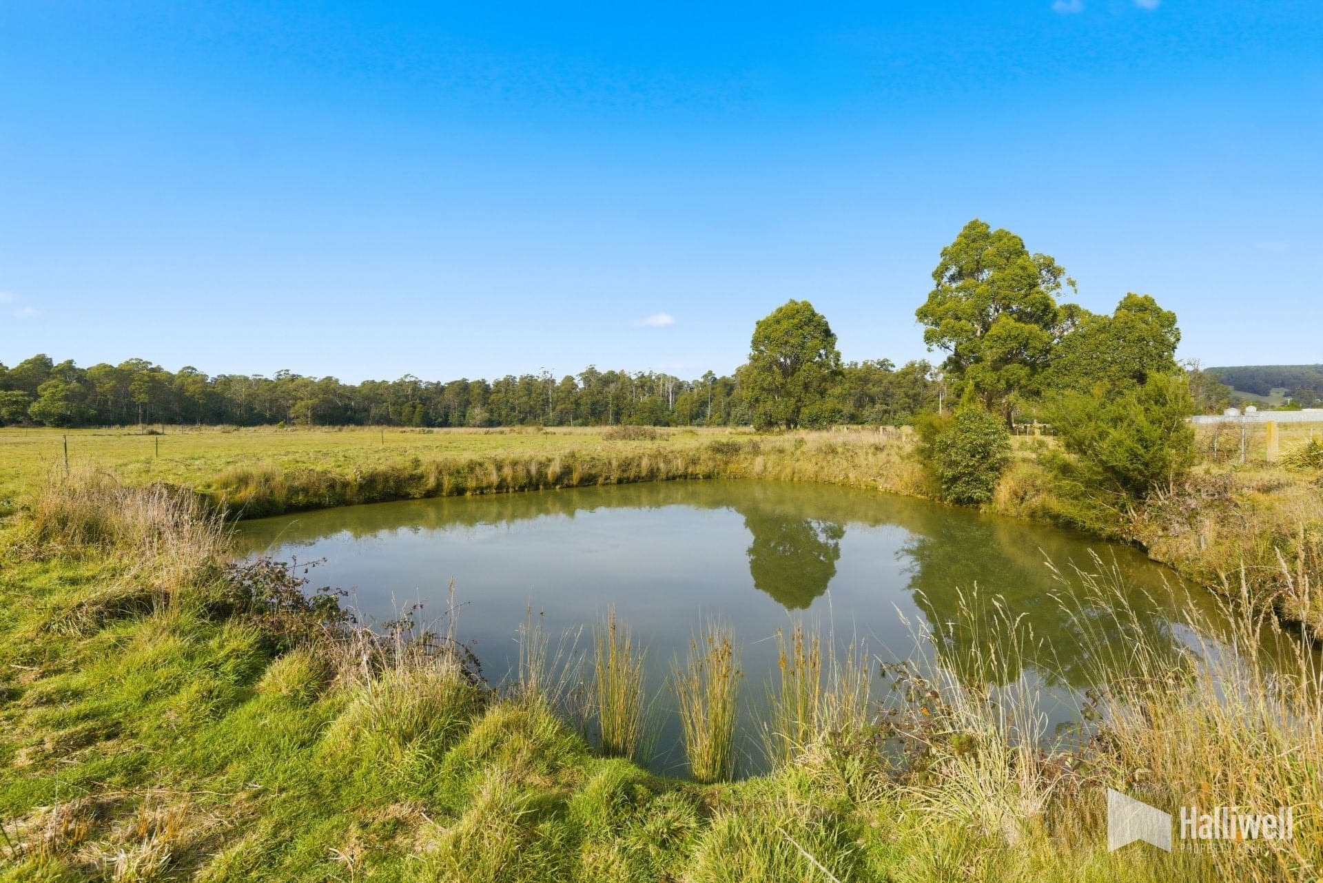 33 Leake Street, Railton, Railton - Thumbnail 7