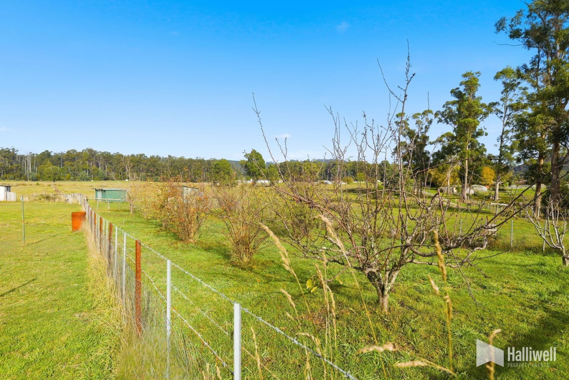 33 Leake Street, Railton, Railton - Thumbnail 8
