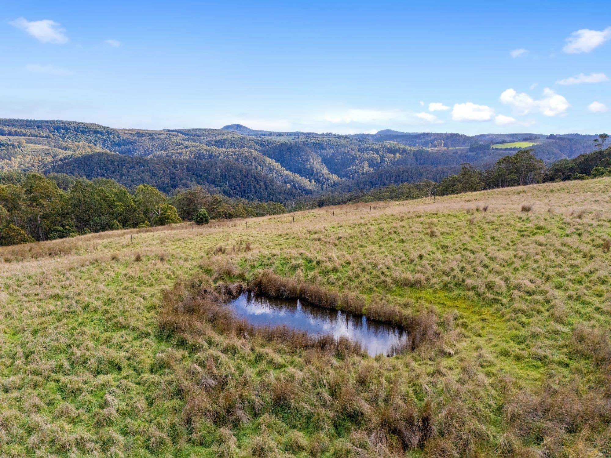 Hoares Road, WILMOT TAS 7310, Wilmot - Thumbnail 3