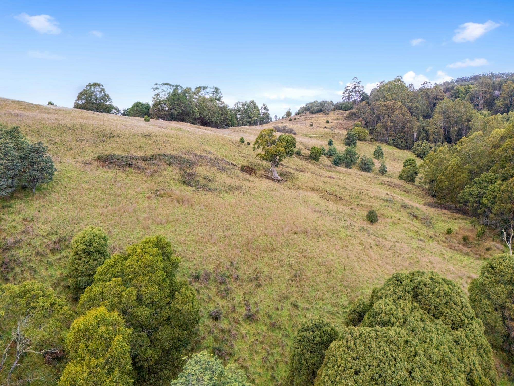 Hoares Road, WILMOT TAS 7310, Wilmot - Thumbnail 4