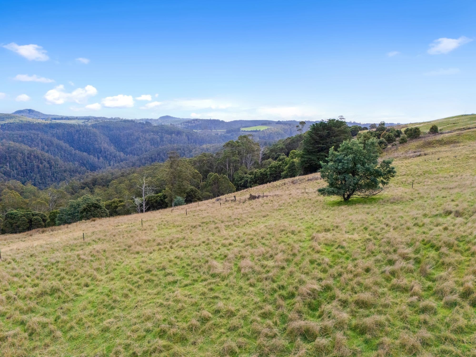 Hoares Road, WILMOT TAS 7310, Wilmot - Thumbnail 5