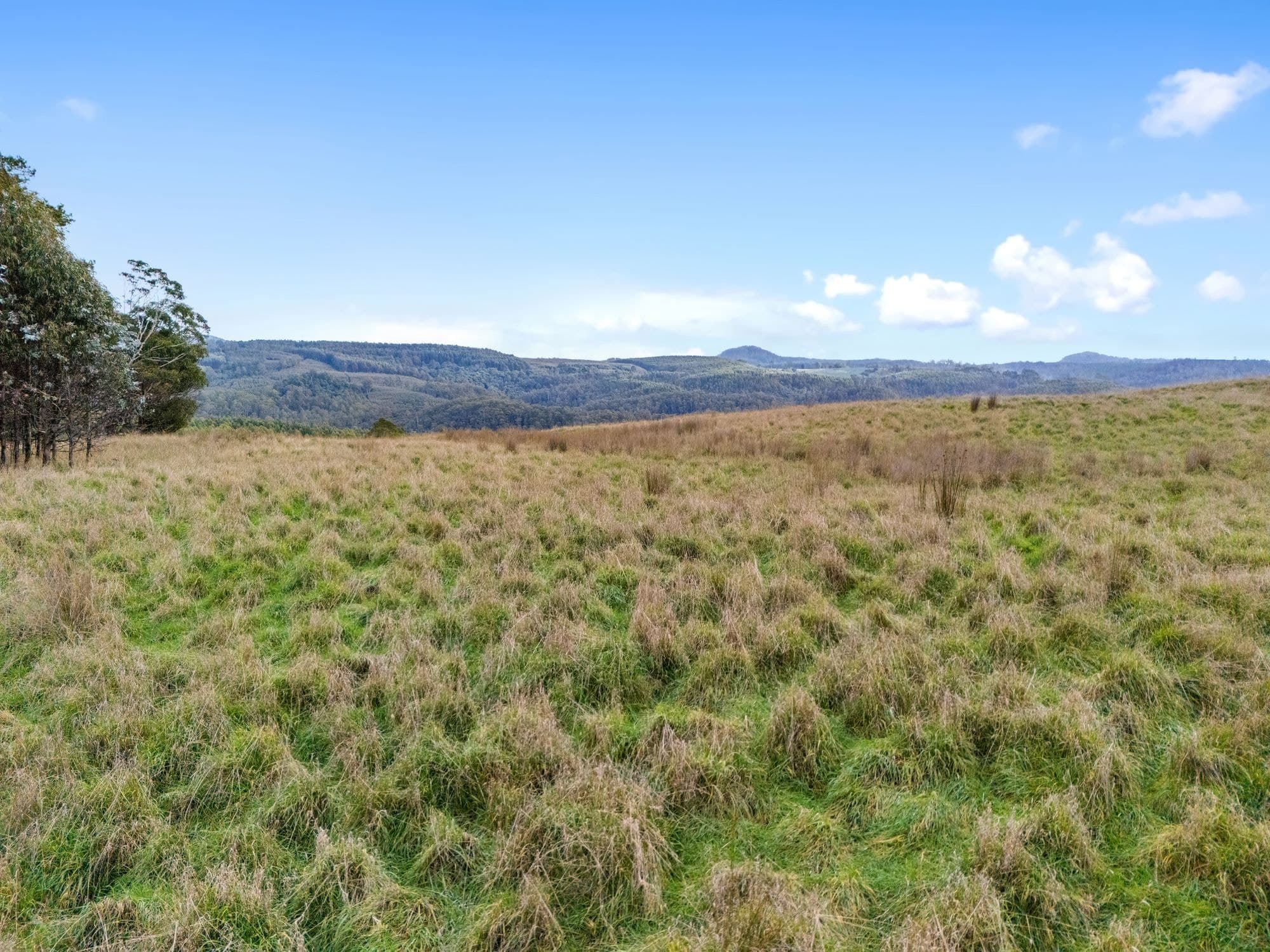 Hoares Road, WILMOT TAS 7310, Wilmot - Thumbnail 8
