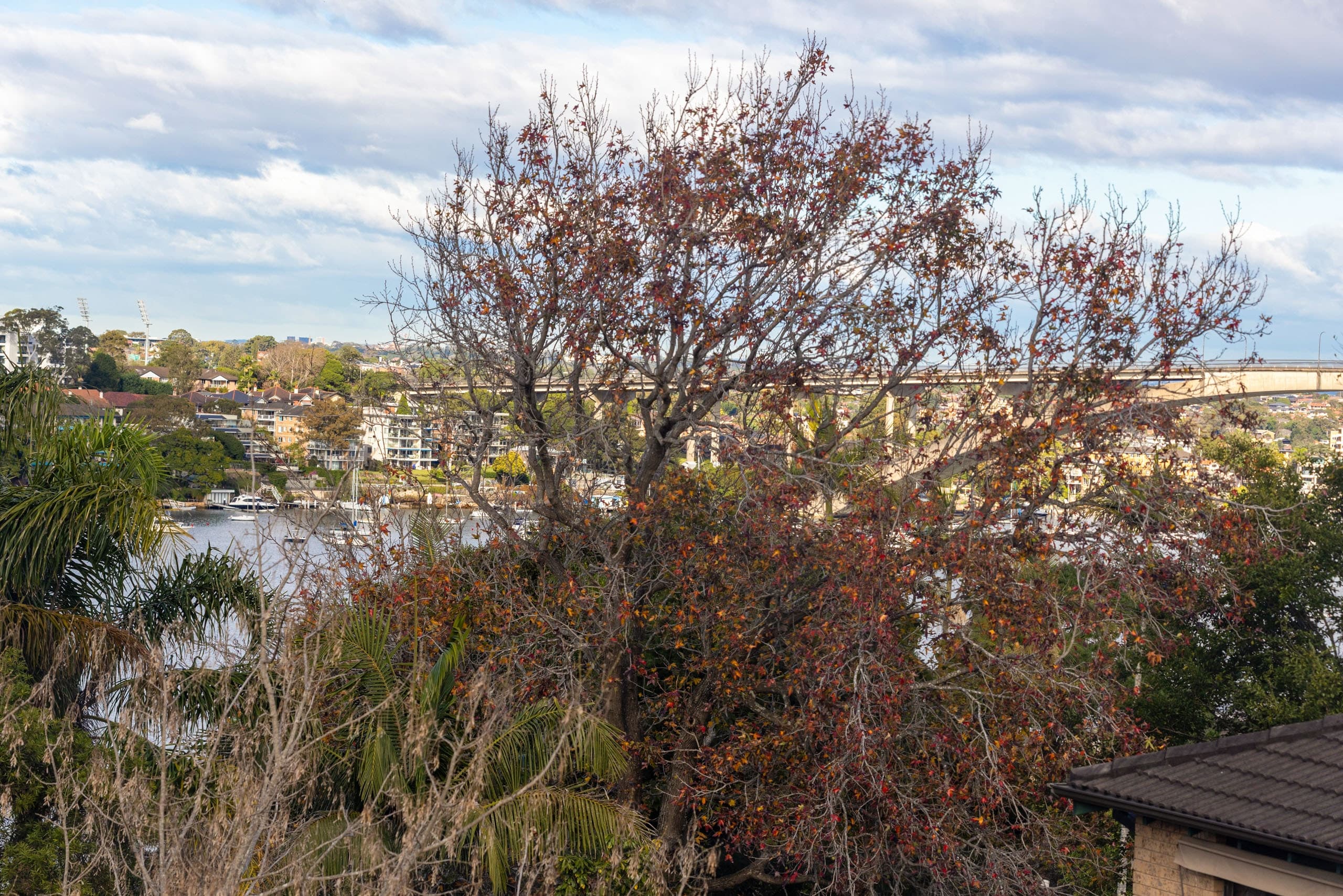 5/21 Alexandra Street, Hunters Hill - Thumbnail 4