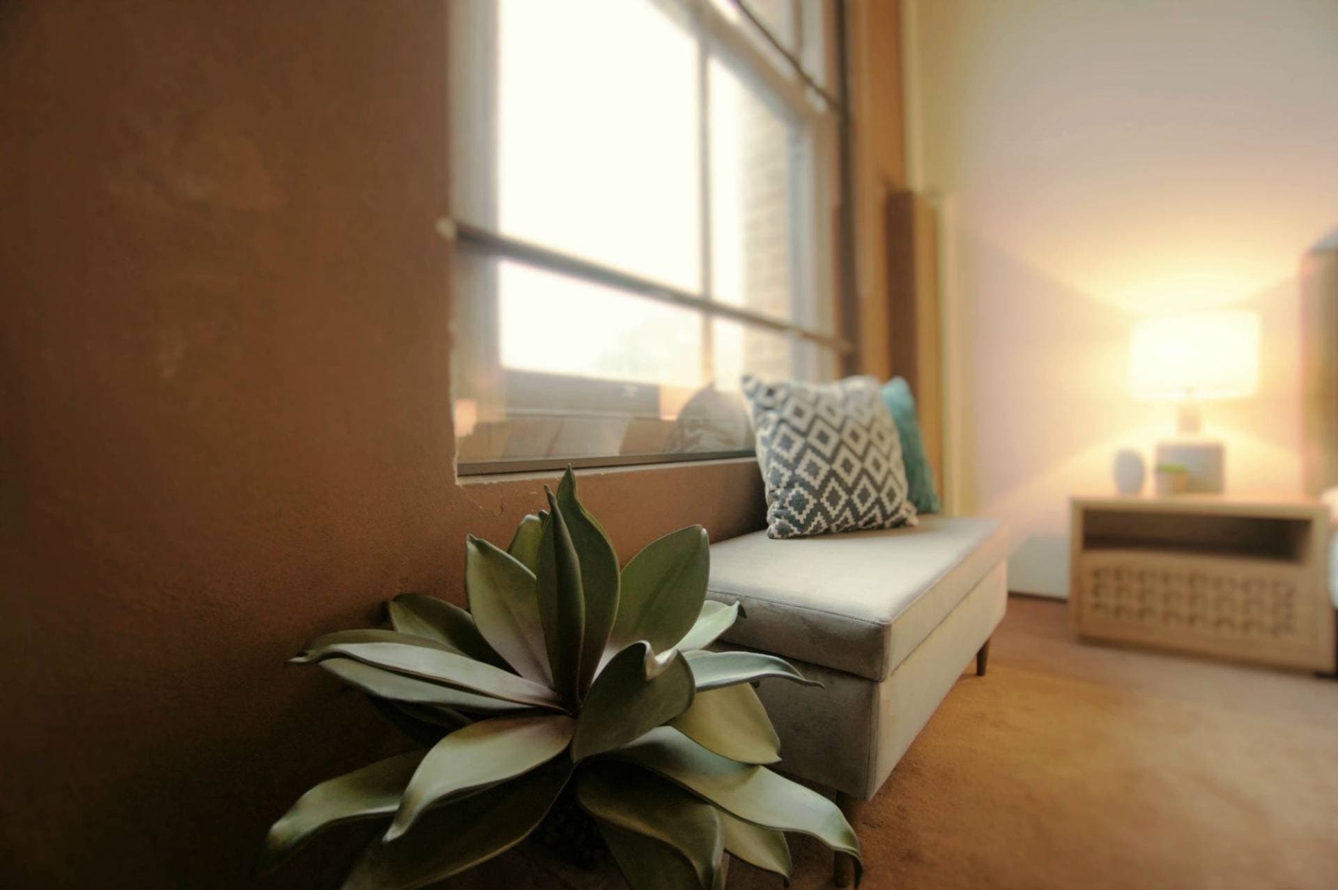 311, 320 Harris Street, Pyrmont - Thumbnail 7