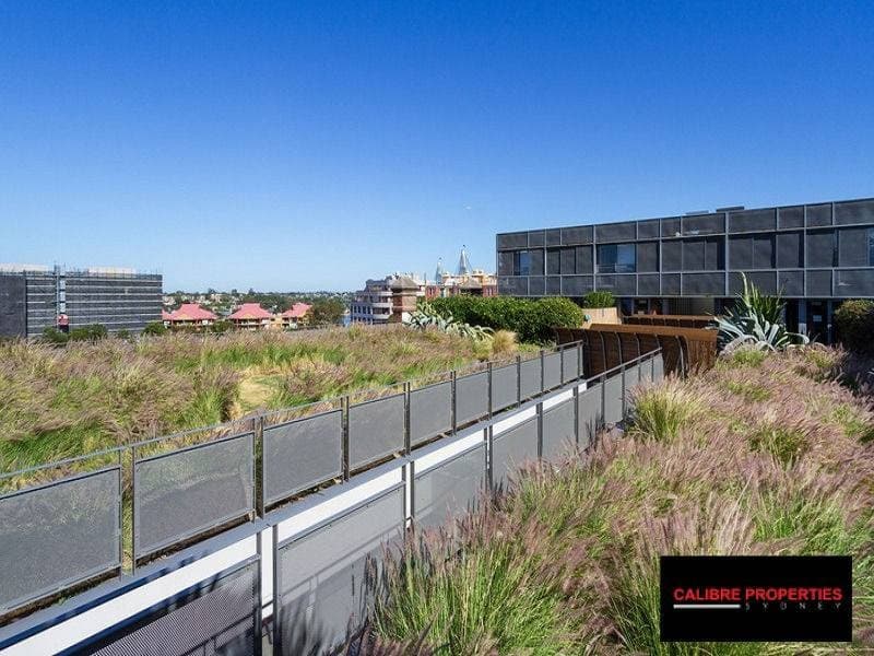 401, 320 Harris Street, Pyrmont - Thumbnail 5