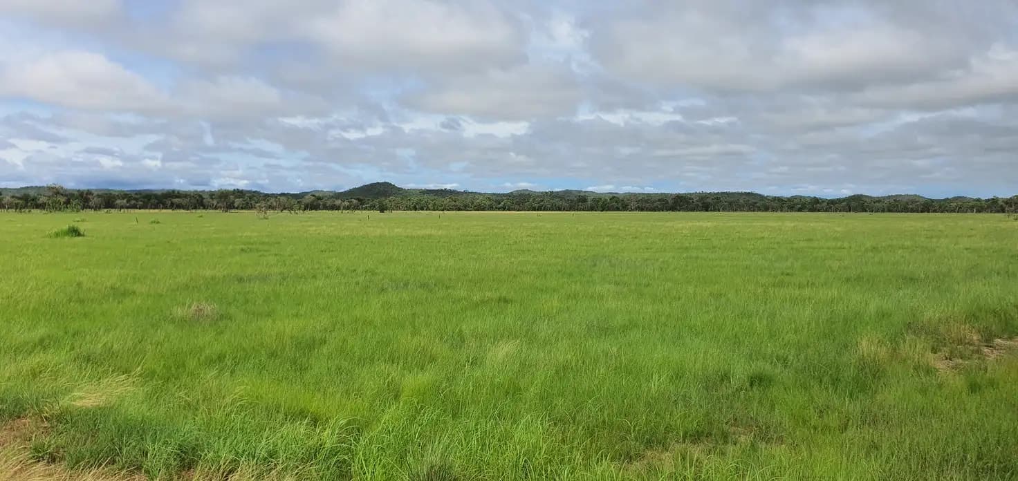 670 Stuart Highway, 670 Stuart Highway - Thumbnail 4