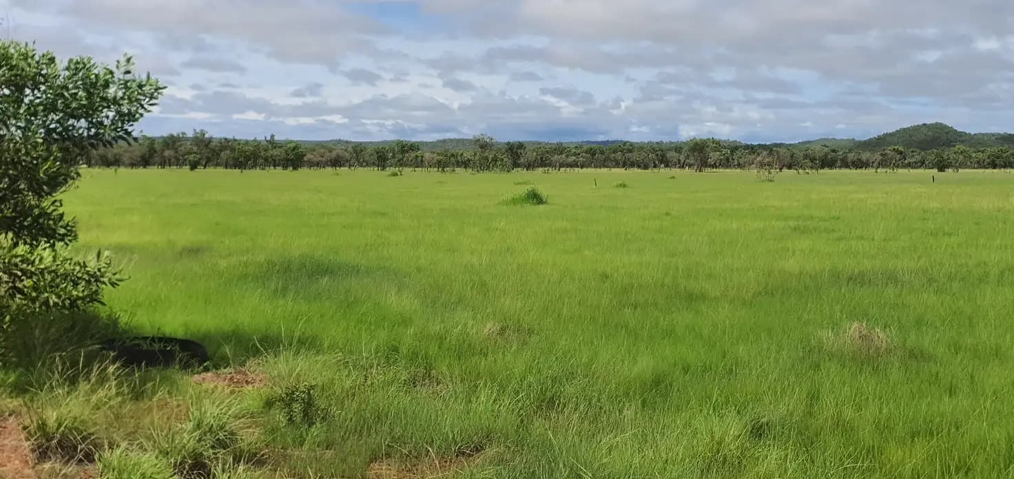 670 Stuart Highway, 670 Stuart Highway - Thumbnail 6
