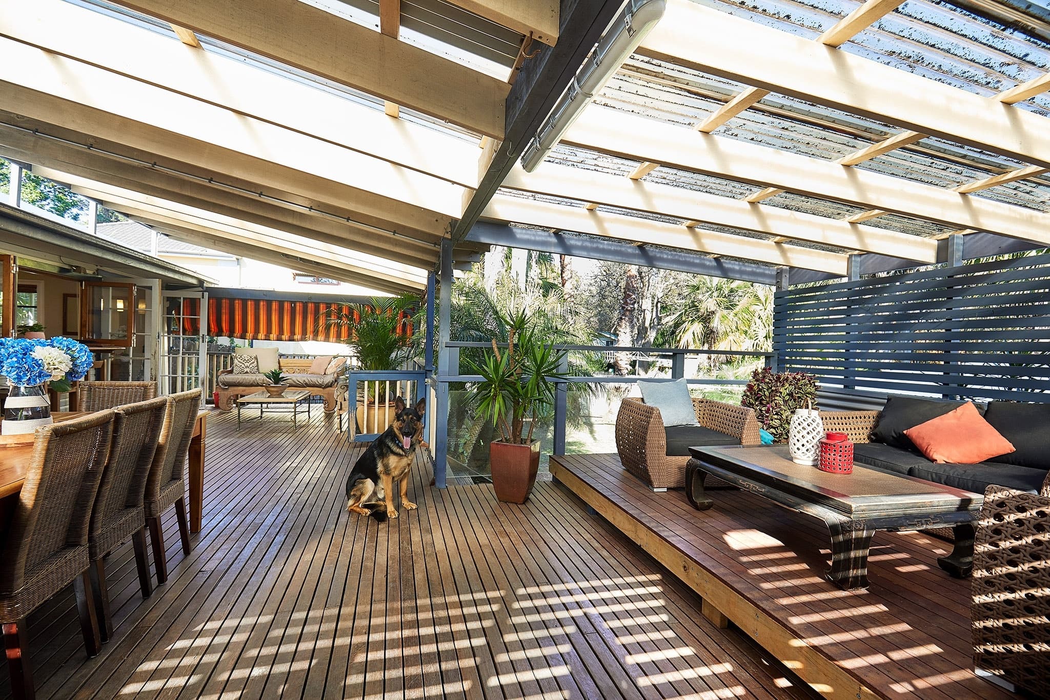 6 Michigan Avenue, Asquith, Asquith - Thumbnail 7
