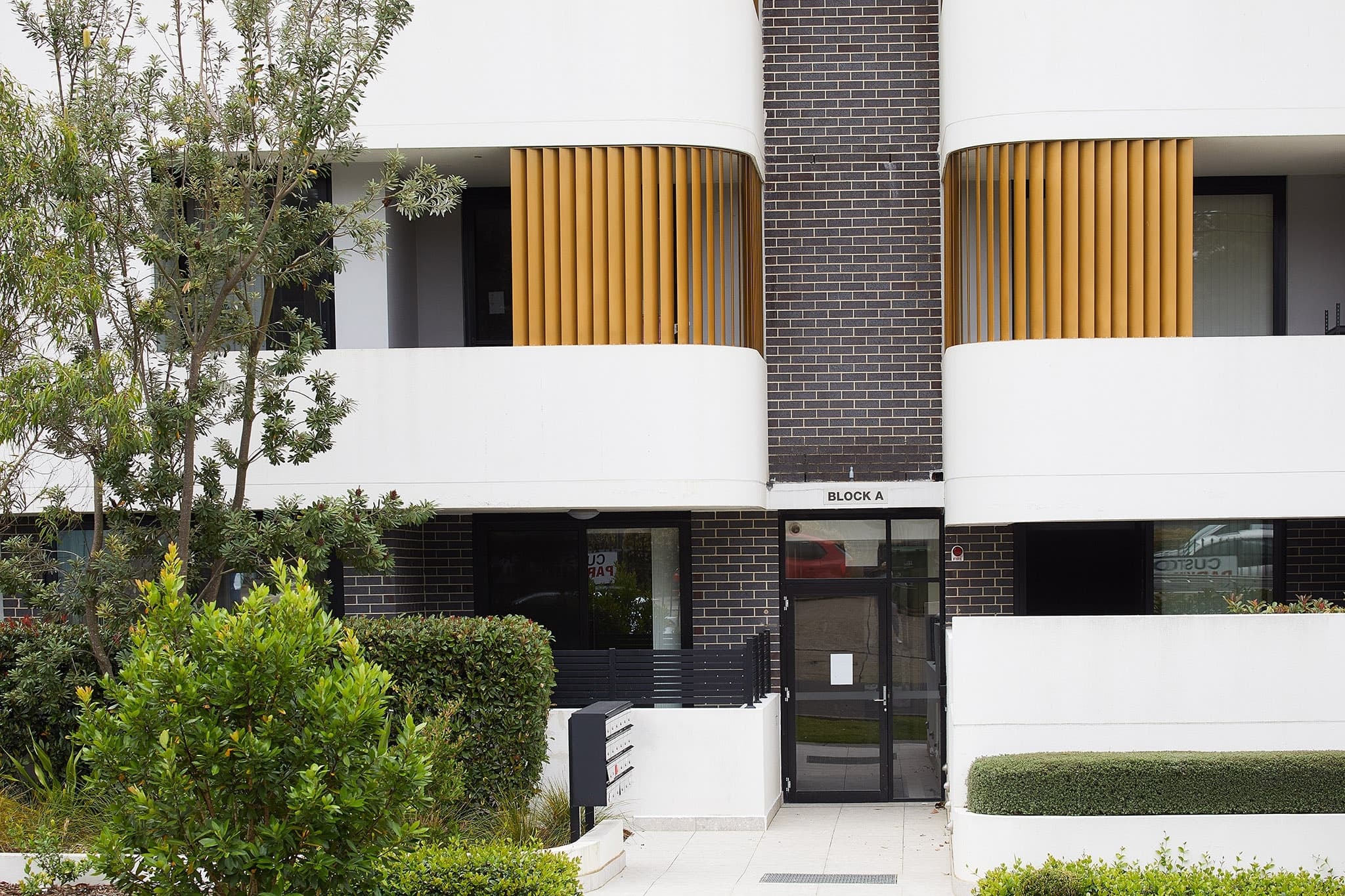 3/1 Citrus Avenue, Hornsby, Hornsby - Thumbnail 3