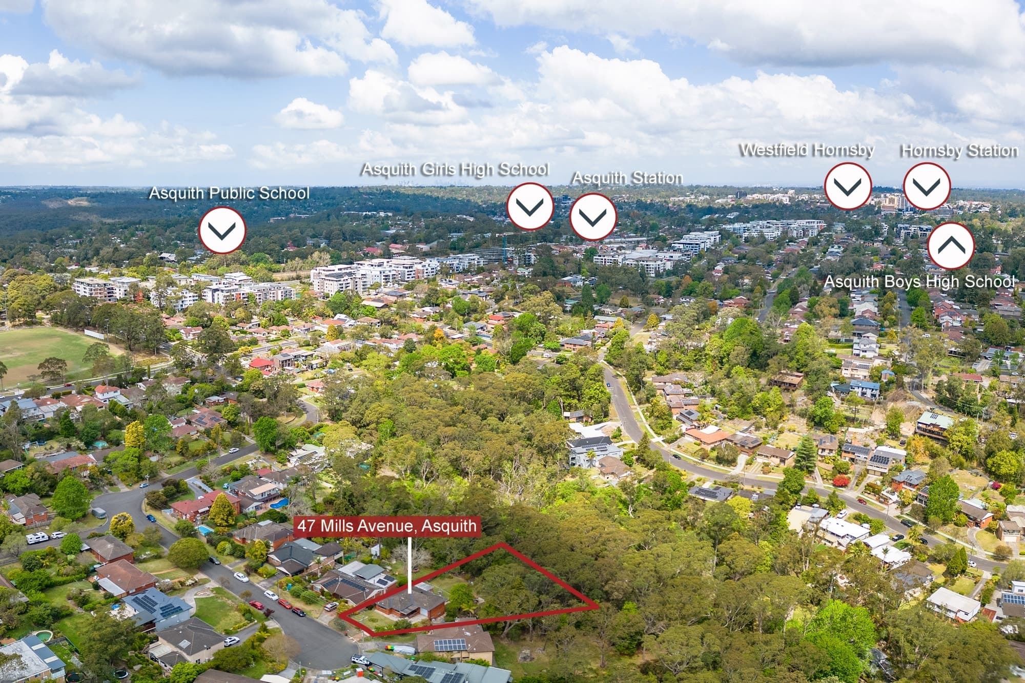 47 Mills Avenue, Asquith, Asquith - Image 1
