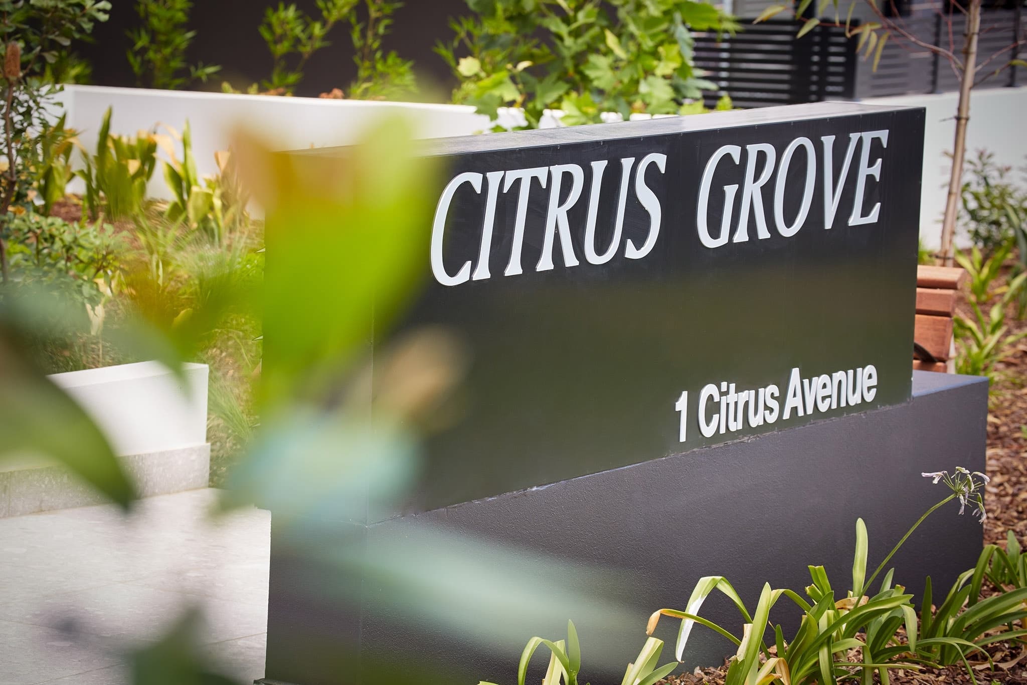 7/1 Citrus Ave, Hornsby, Hornsby - Image 1
