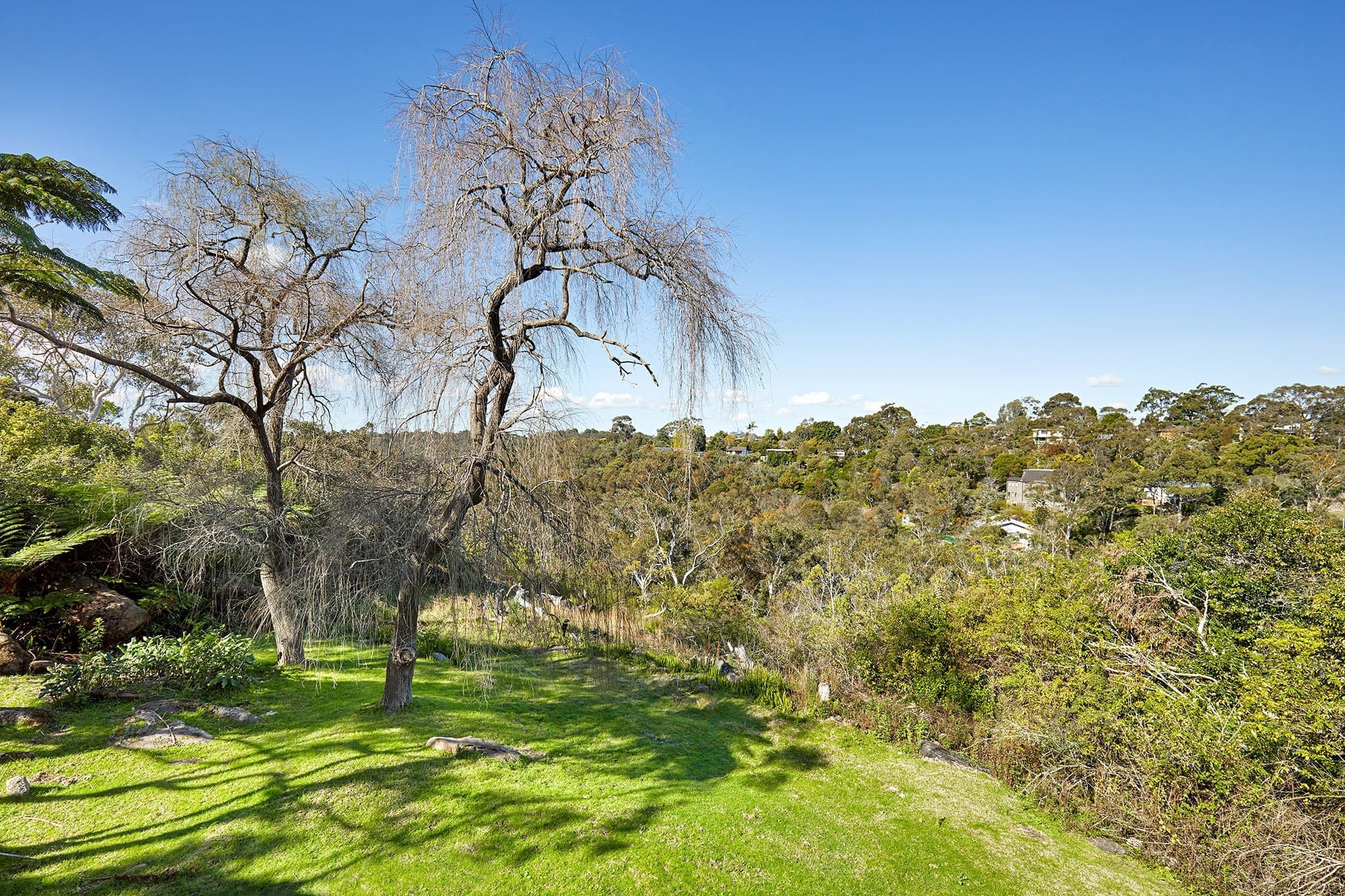36 Wideview Road, Berowra Heights, Berowra Heights - Thumbnail 3