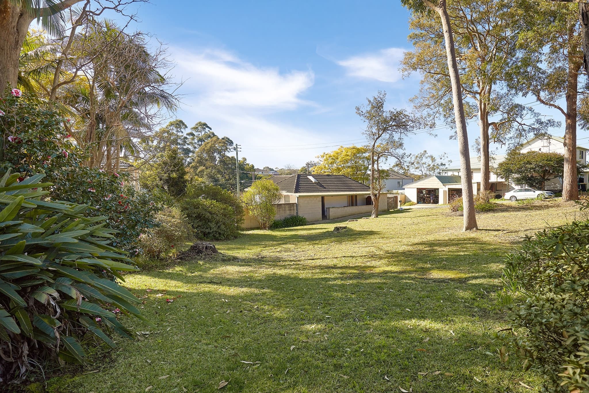 17 Dudley Street, Asquith, Asquith - Thumbnail 3