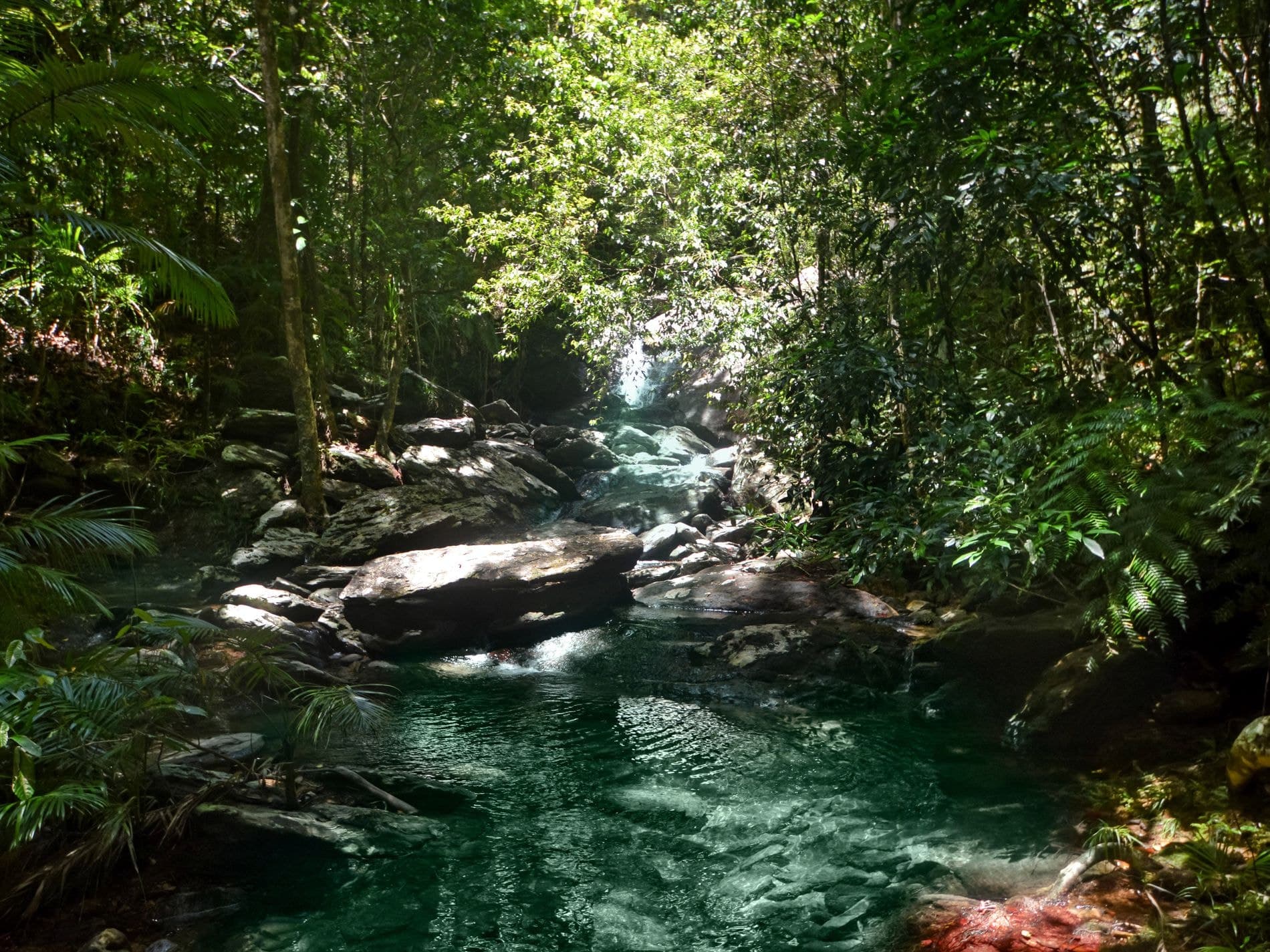 51 Waterfall Place, Jubilee Heights, Jubilee Heights - Thumbnail 3
