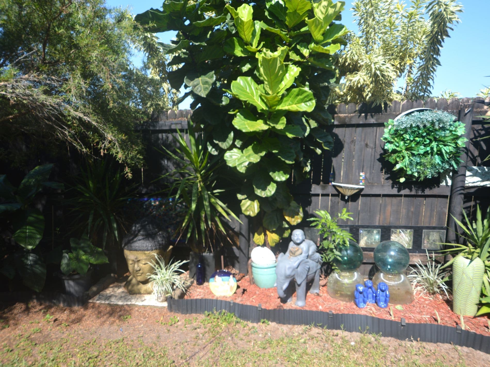 164 Gangemi Road, Lower Cowley, Lower Cowley - Thumbnail 6