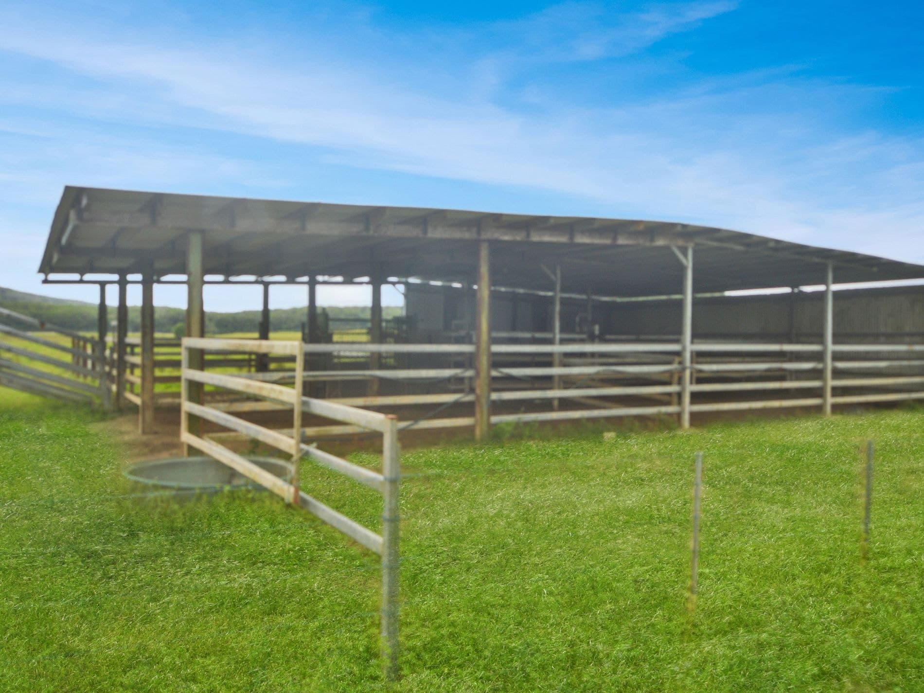 66 Gangemi Road, Lower Cowley, Lower Cowley - Thumbnail 8