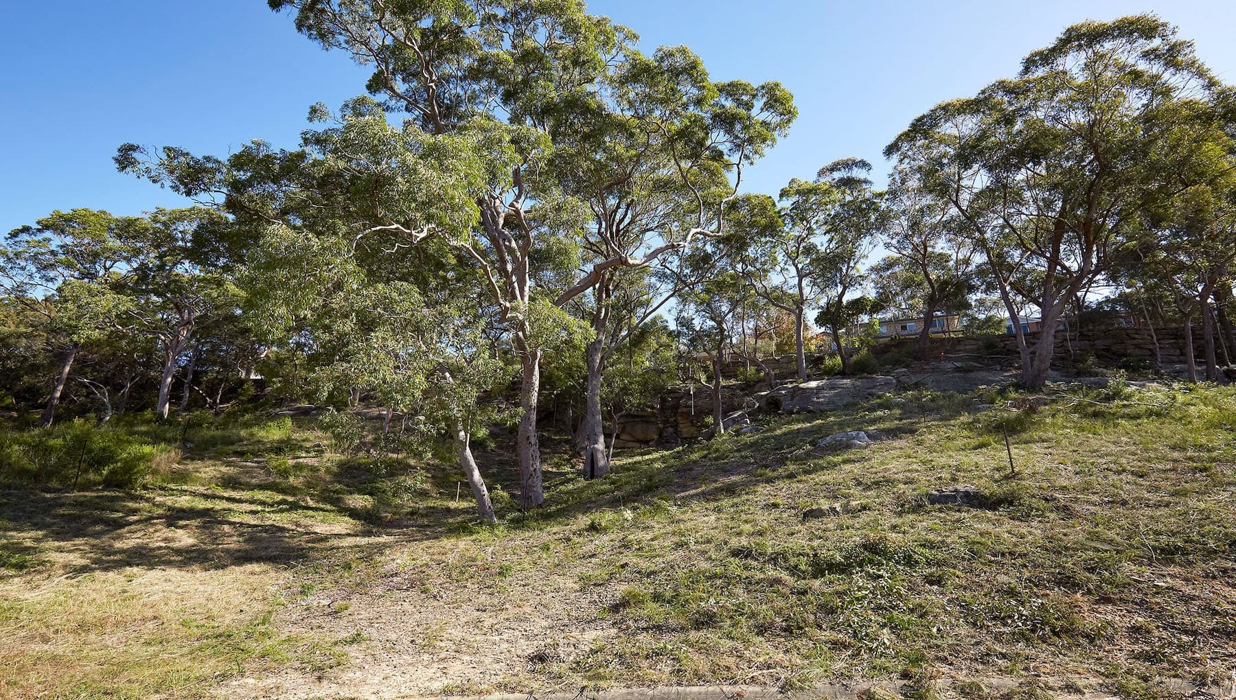 51 Willunga Rd, , Berowra, Berowra - Thumbnail 4
