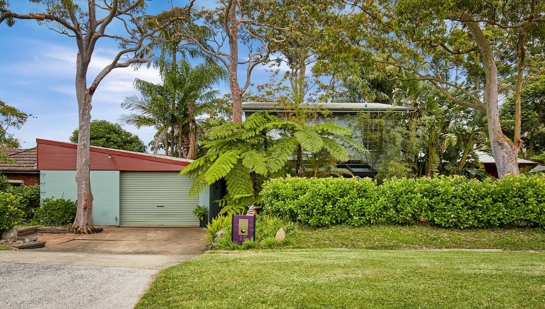 12 Sydney Rd, , Hornsby Hts, Hornsby Hts - Thumbnail 3