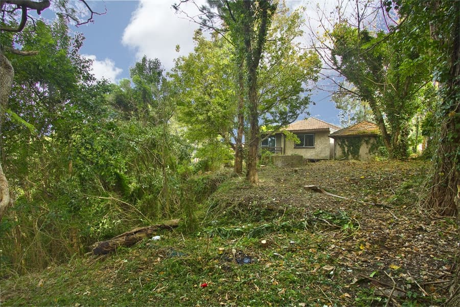 25 Milner Ave, , Hornsby, Hornsby - Thumbnail 4