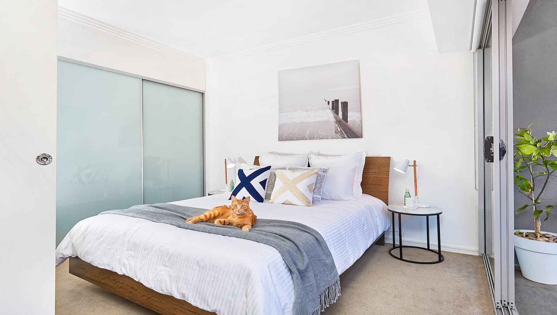 24/36 McKeon St, , Maroubra, Maroubra - Thumbnail 7