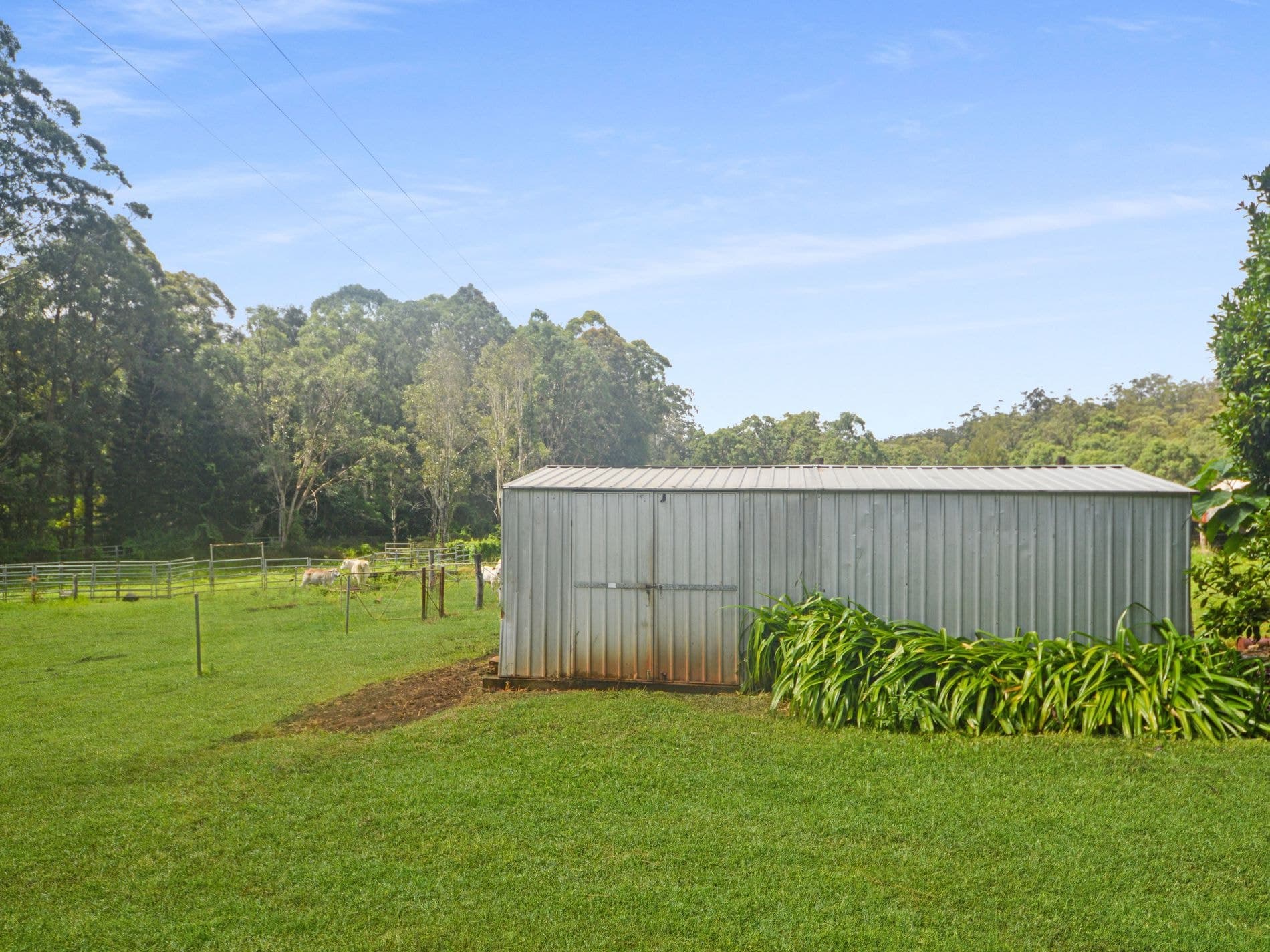 1888 TUMOULIN ROAD, Ravenshoe, Ravenshoe - Thumbnail 4