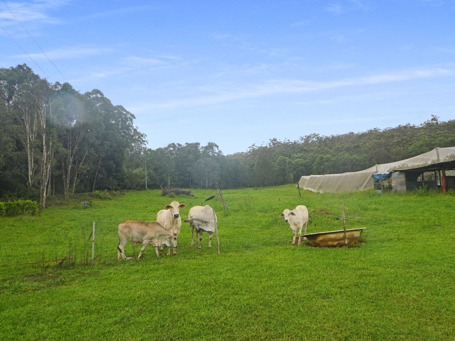 1888 TUMOULIN ROAD, Ravenshoe, Ravenshoe - Thumbnail 7