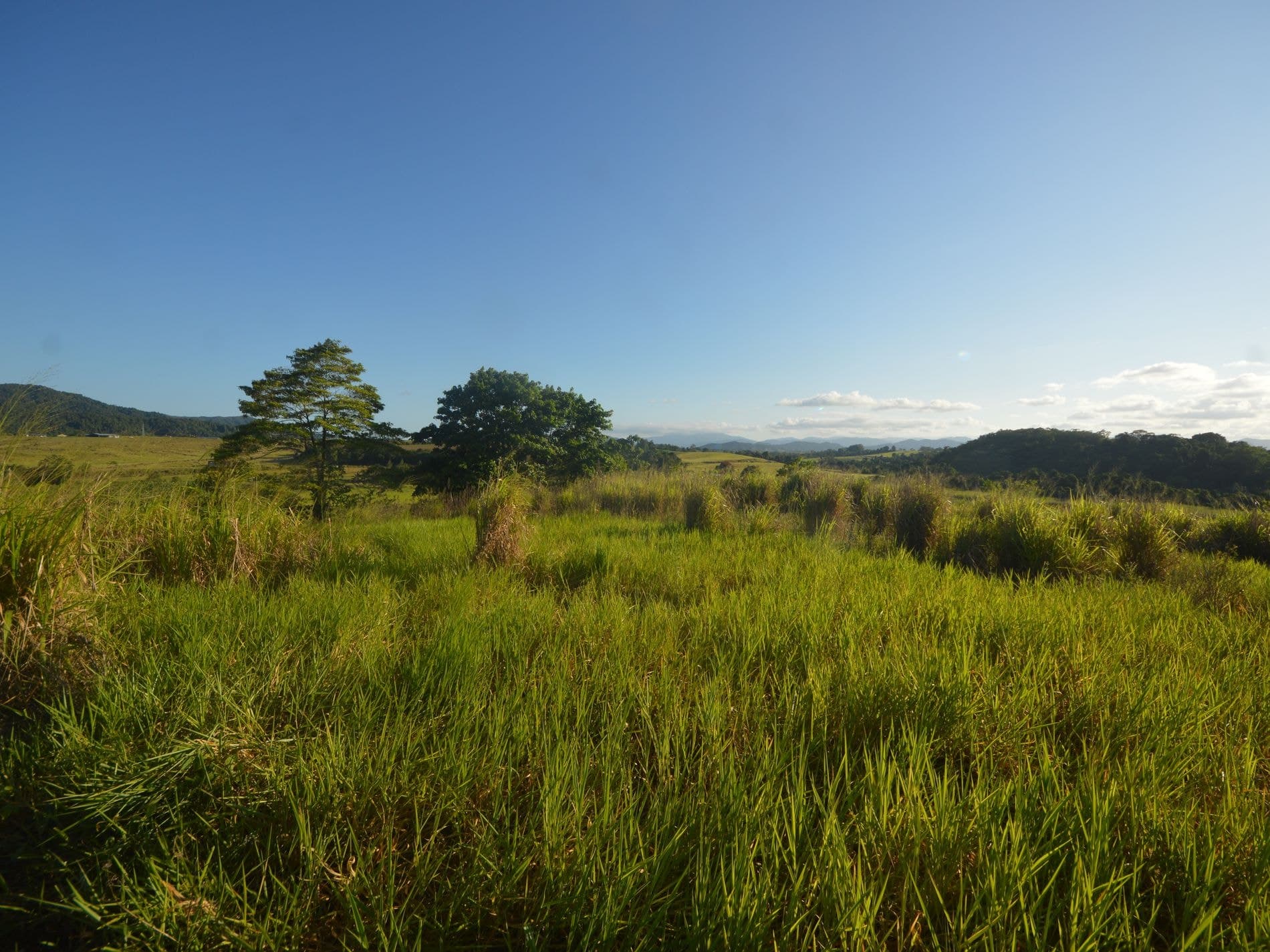 1212 Innisfail Japoon Road, Camp Creek, Camp Creek - Image 1