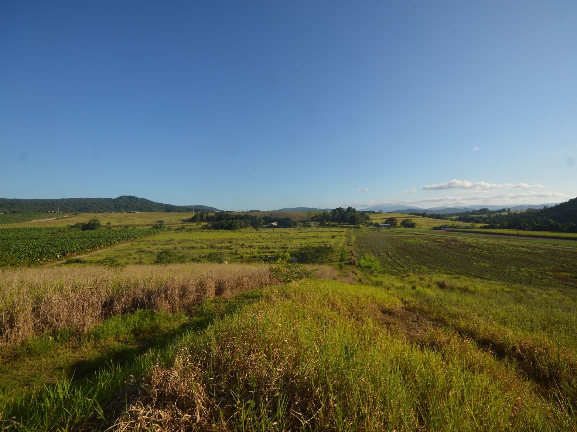 1212 Innisfail Japoon Road, Camp Creek, Camp Creek - Thumbnail 2