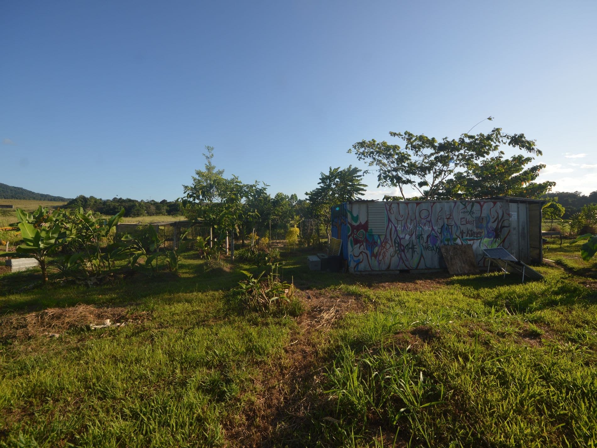 1212 Innisfail Japoon Road, Camp Creek, Camp Creek - Thumbnail 8