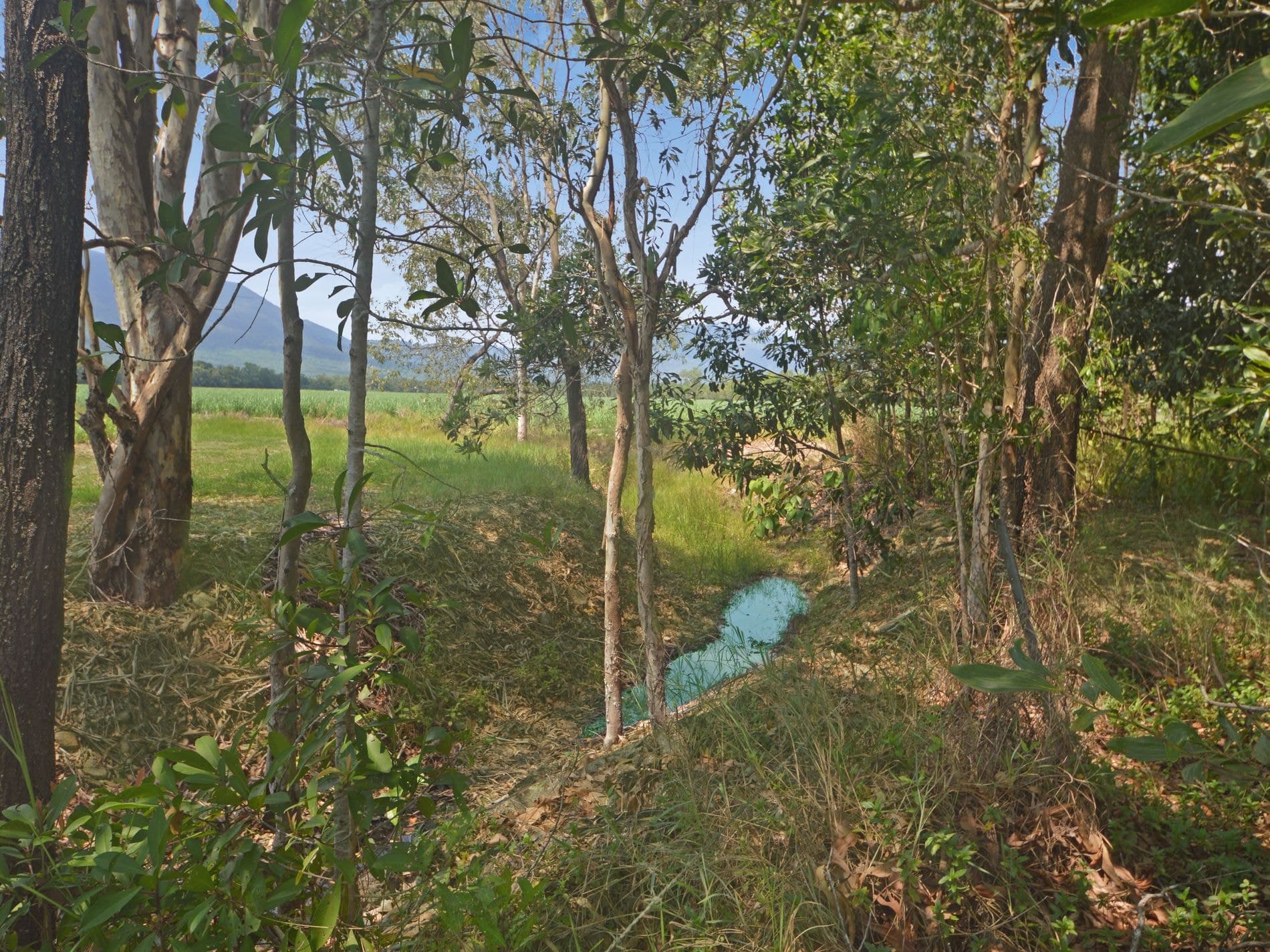 689 Ellerbeck Road, Kennedy, Kennedy - Thumbnail 2